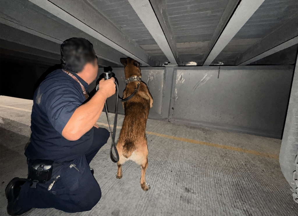 Interceptan tractocamión con cocaína y fentanilo rumbo a Estados Unidos