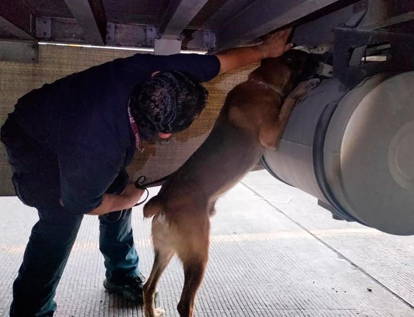 Autoridades mexicanas frenan envío con más de 1.3 toneladas de metanfetamina y 10 kilos de fentanilo antes de cruzar a EEUU por Tijuana