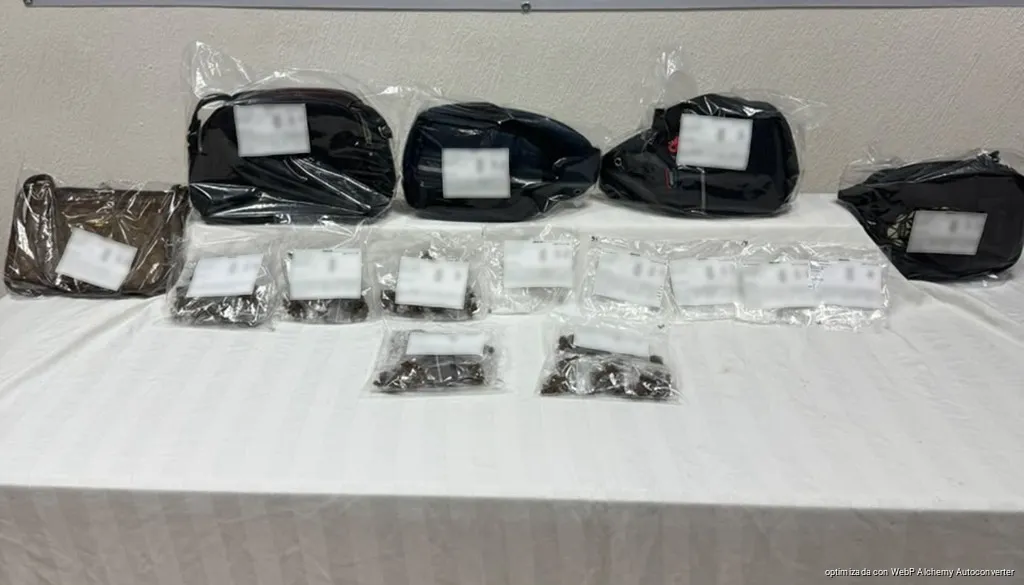 Capturan a nueve en la Ejido; FGE los vinculan con grupo criminal