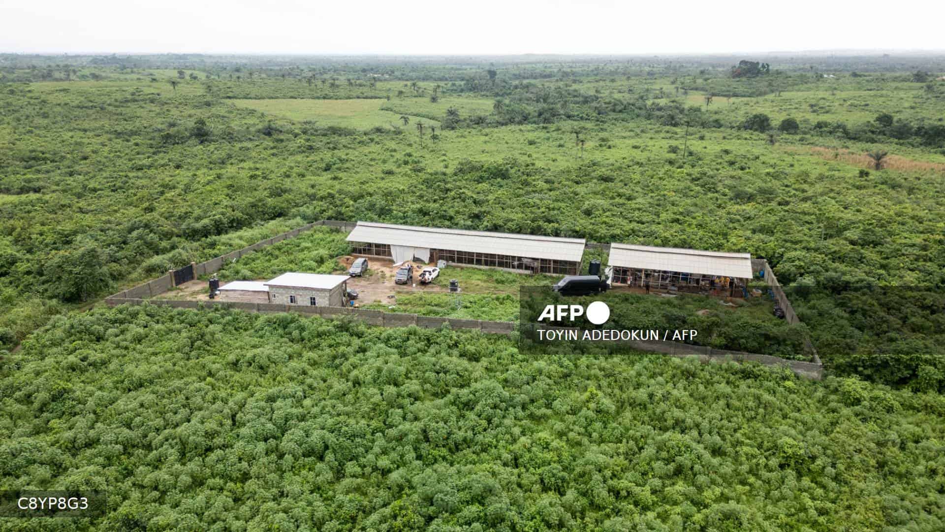 Del sur de África a Australia, la nueva ruta de la meta del cártel de Sinaloa