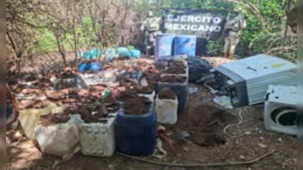 detenidos en operativo en concordia sinaloa mas