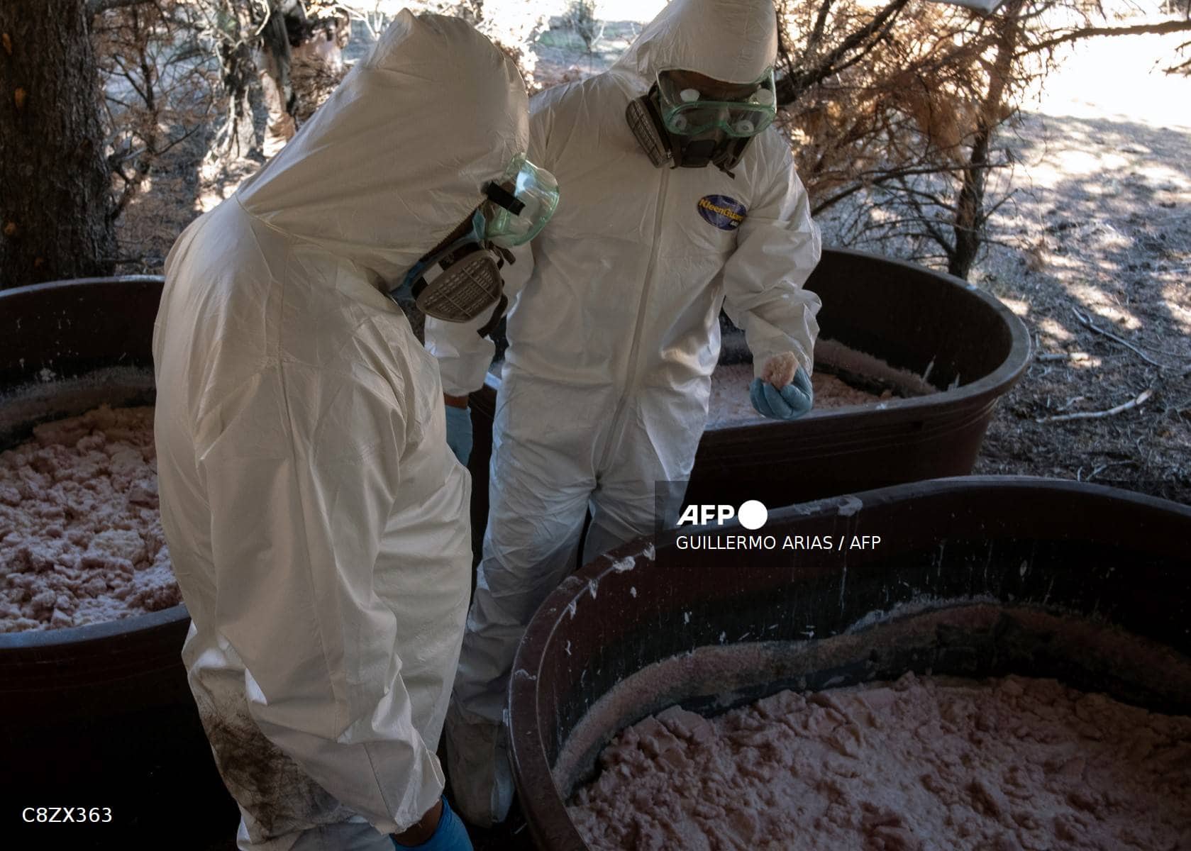 Del sur de África a Australia, la nueva ruta de la meta del cártel de Sinaloa