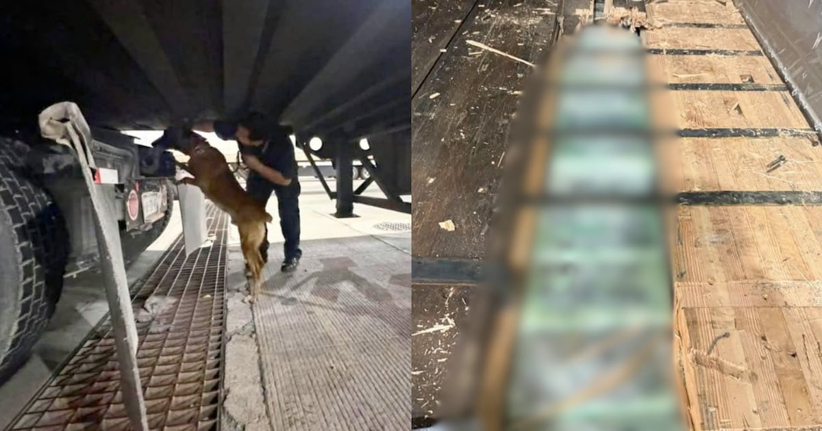Aduana de Tijuana da golpe al narco: decomisan 237 kilos de droga oculta en tractocamión