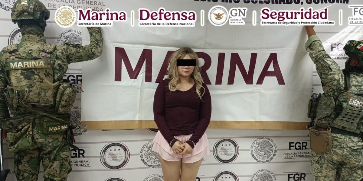 U.S. woman accused of helping Sinaloa Cartel move weapons arrested near Arizona border