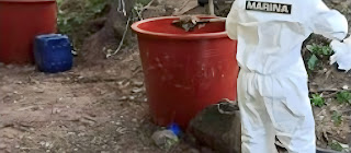 Six ‘Narcolaboratories’ and 20.6 Tons of Methamphetamines in Sinaloa