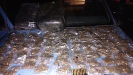 Over 100 Marijuana Doses, Fuel Theft Found in Abandoned Nayarit Vehicle