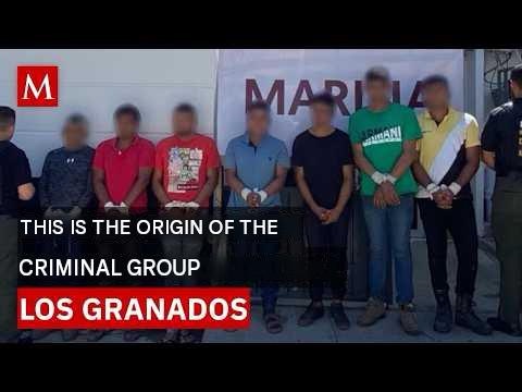 Who Are Los Granados? Here’s What We Know About the Group Linked to Disappearances in Guerrero